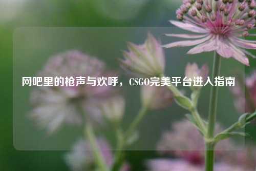 网吧里的枪声与欢呼,CSGO完美平台进入指南
