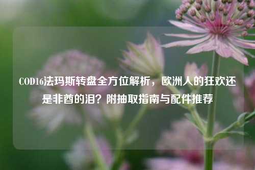 COD16法玛斯转盘全方位解析,欧洲人的狂欢还是非酋的泪?附抽取指南与配件推荐