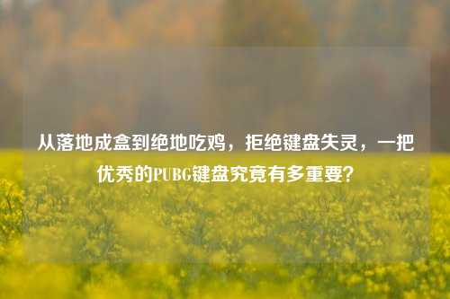 从落地成盒到绝地吃鸡,拒绝键盘失灵,一把优秀的PUBG键盘究竟有多重要?
