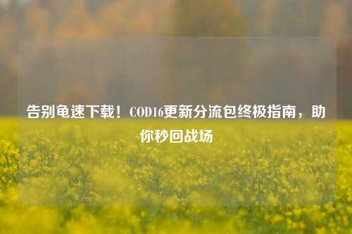 告别龟速下载！COD16更新分流包终极指南，助你秒回战场