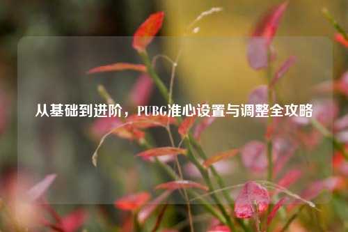 从基础到进阶,PUBG准心设置与调整全攻略