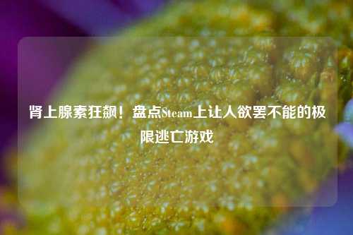 肾上腺素狂飙!盘点Steam上让人欲罢不能的极限逃亡游戏