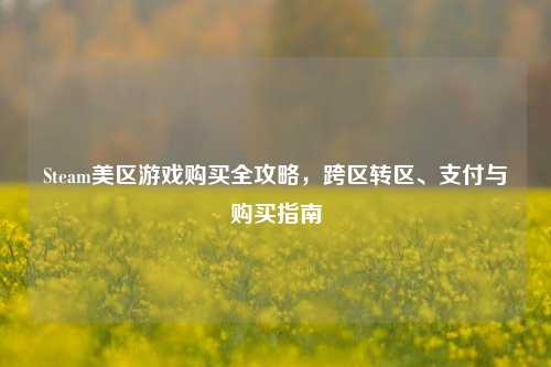 Steam美区游戏购买全攻略,跨区转区、支付与购买指南