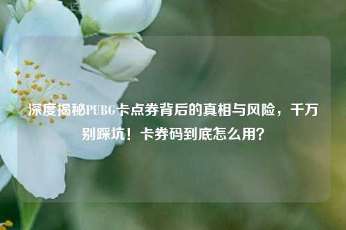 深度揭秘PUBG卡点券背后的真相与风险，千万别踩坑！卡券码到底怎么用？