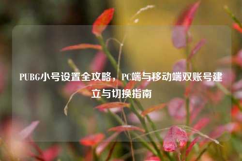 PUBG小号设置全攻略，PC端与移动端双账号建立与切换指南