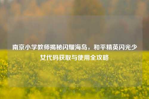 南京小学教师揭秘闪耀海岛,和平精英闪光少女代码获取与使用全攻略