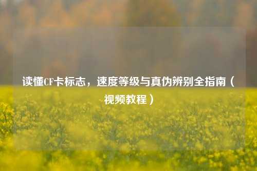 读懂CF卡标志,速度等级与真伪辨别全指南(视频教程)