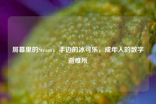 屏幕里的Steam,手边的冰可乐,成年人的数字避难所