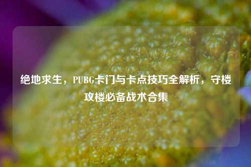 绝地求生,PUBG卡门与卡点技巧全解析,守楼攻楼必备战术合集