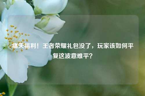 痛失福利！王者荣耀礼包没了，玩家该如何平复这波意难平？