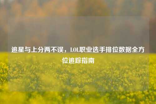 追星与上分两不误,LOL职业选手排位数据全方位追踪指南