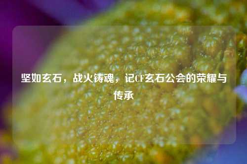 坚如玄石，战火铸魂，记CF玄石公会的荣耀与传承