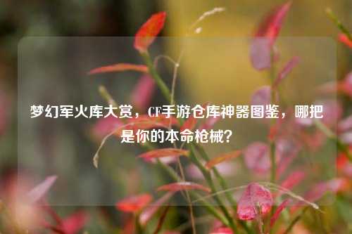 梦幻军火库大赏,CF手游仓库神器图鉴,哪把是你的本命枪械?