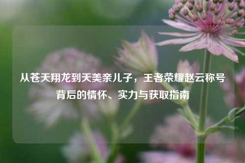 从苍天翔龙到天美亲儿子，王者荣耀赵云称号背后的情怀、实力与获取指南