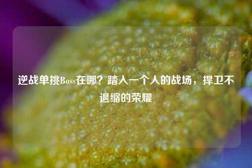 逆战单挑Boss在哪?踏入一个人的战场,捍卫不退缩的荣耀