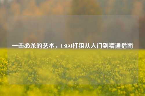 一击必杀的艺术,CSGO打狙从入门到精通指南